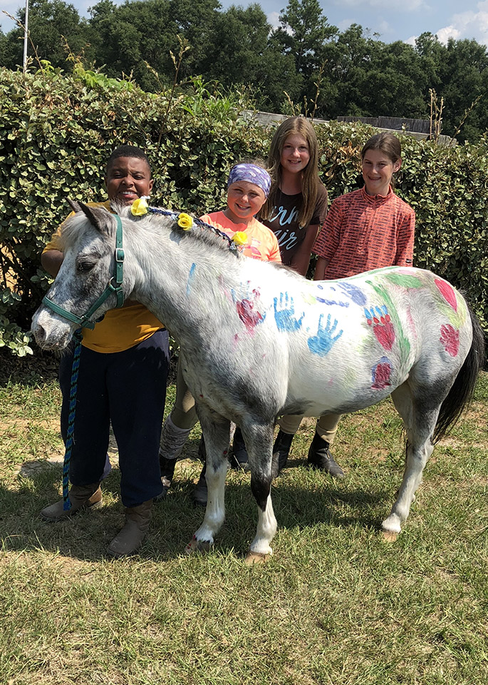 Horseback Riding Lessons | Evermore Farm Brooklet, GA